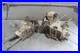 2012-John-Deere-Gator-Sprt-Rsx-850i-Engine-Motor-Crankcase-Crank-Cases-Block-01-ufy