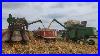 Half-Century-Of-Farm-Progress-2023-Ear-Corn-Picking-U0026-Shelling-Field-Action-01-lws