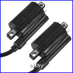 Ignition Coils for John Deere XUV620i XUV625i Gator Utility Vehicle / AM120732 Ignition Coils for John Deere XUV620i XUV625i Gator Utility Vehicle / AM120732