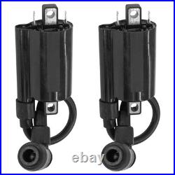 Ignition Coils for John Deere XUV620i XUV625i Gator Utility Vehicle / AM120732 Ignition Coils for John Deere XUV620i XUV625i Gator Utility Vehicle / AM120732