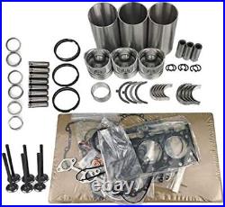 Overhaul Rebuild Kit For Yanmar Engine 3TNV70-HGE John Deere Gator XUV 850D